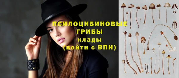 ешки Абинск
