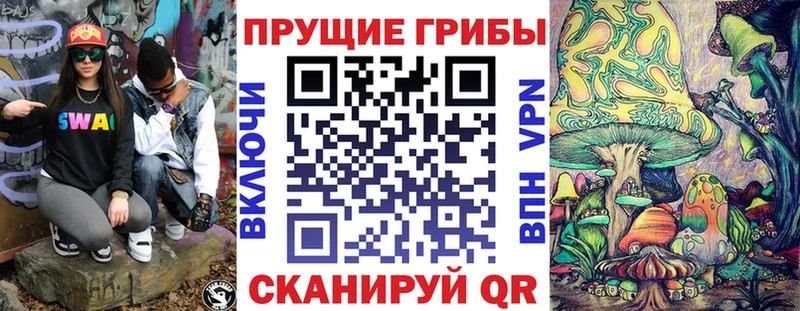 OMG зеркало  Емва  Псилоцибиновые грибы Psilocybine cubensis  продажа наркотиков 